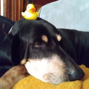 Meet your Posher, Michael